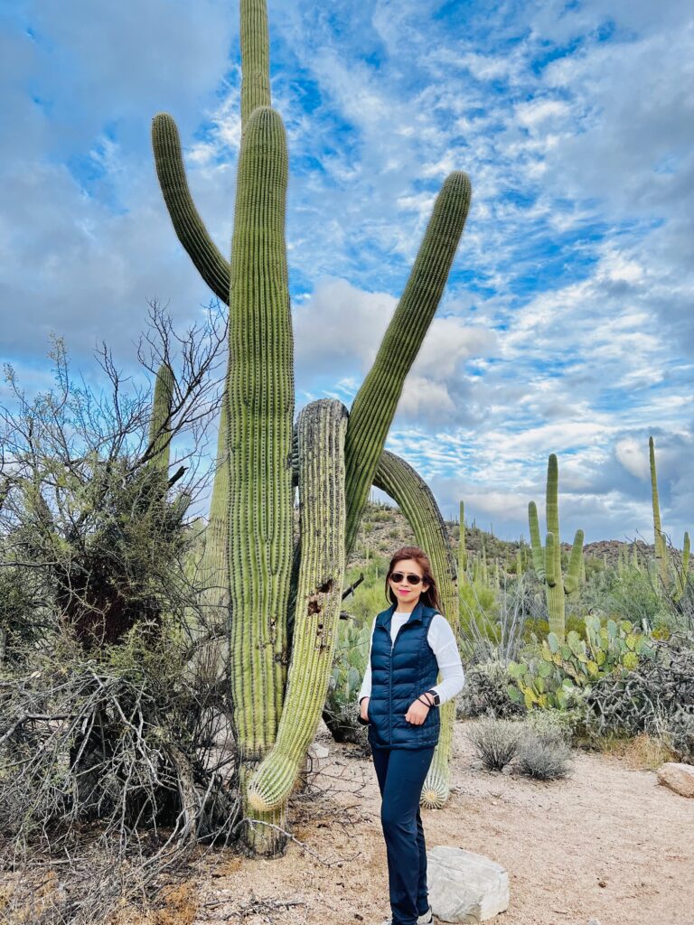 SAGUARO