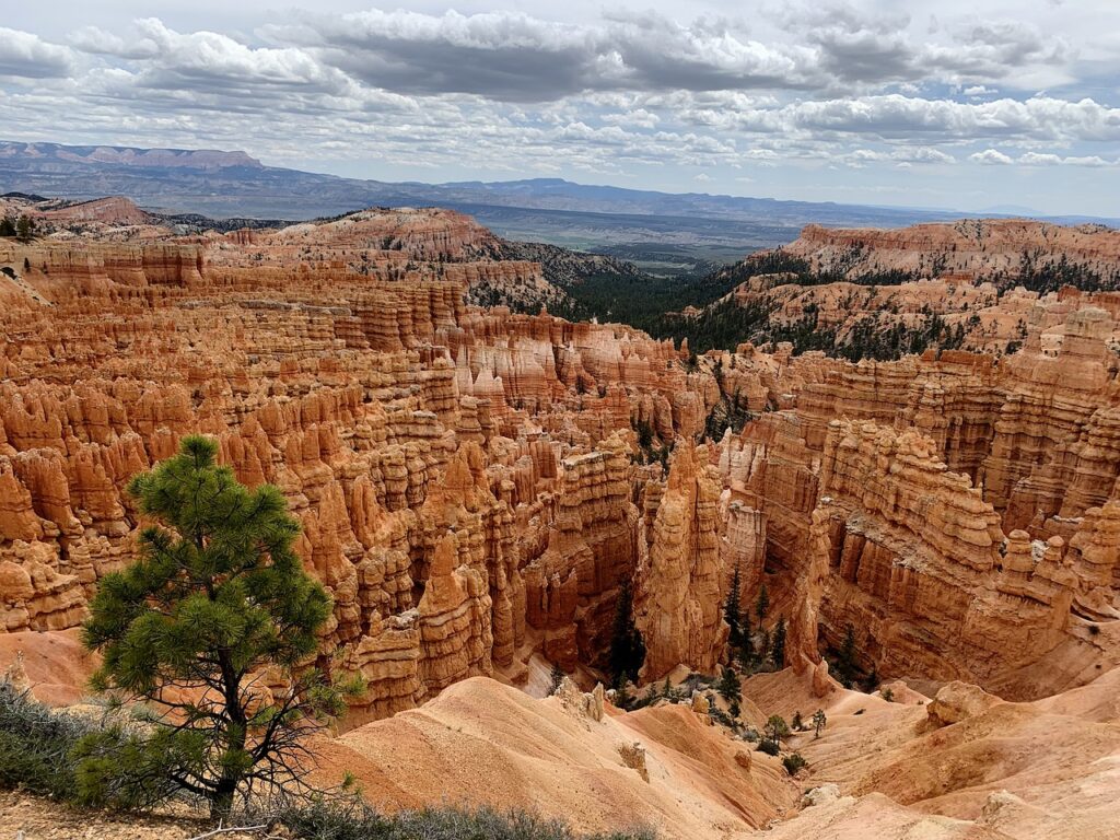 RIM TRAIL-BRYCE CANYON