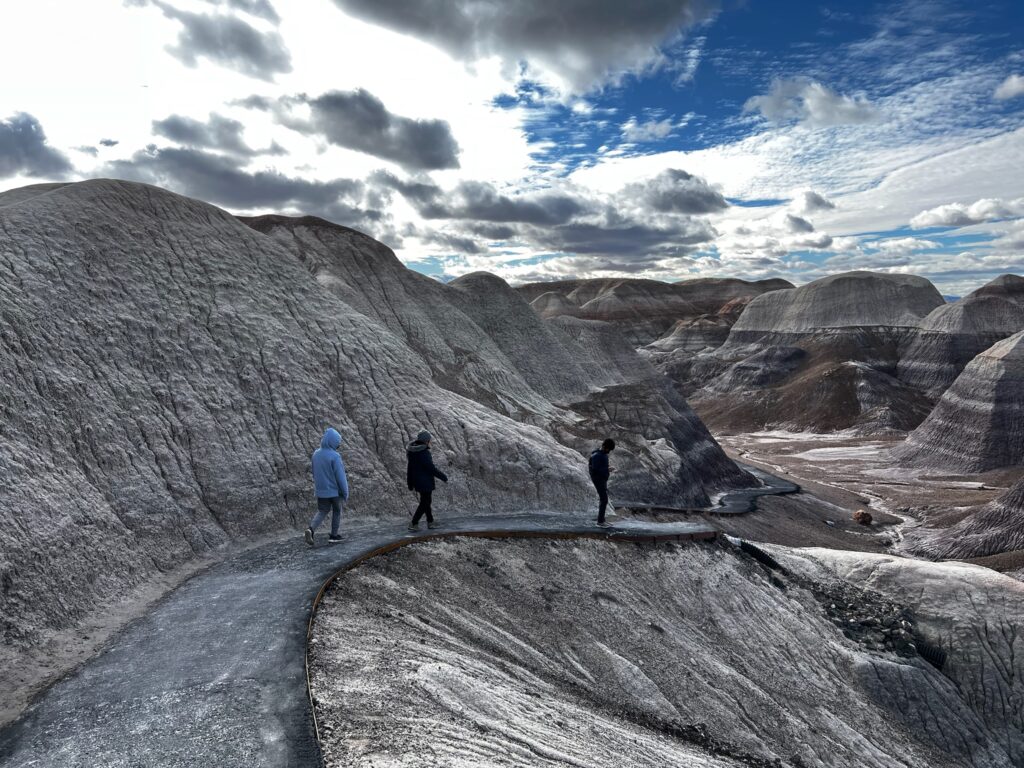 BLUE MESA-PETRIFIED FOREST