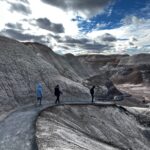 BLUE MESA-PETRIFIED FOREST