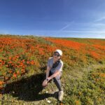 poppies-solo-santiago