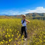 wildflowers-chino hills