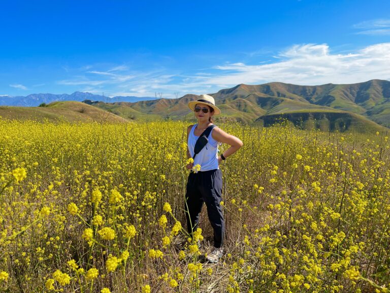 wildflowers-chino hills