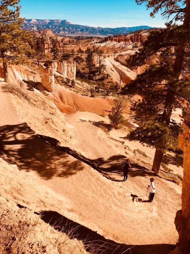 queens garden navajo loop-bryce canyon