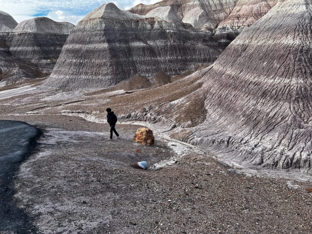 PETRIFIED FOREST-BLUE MESA