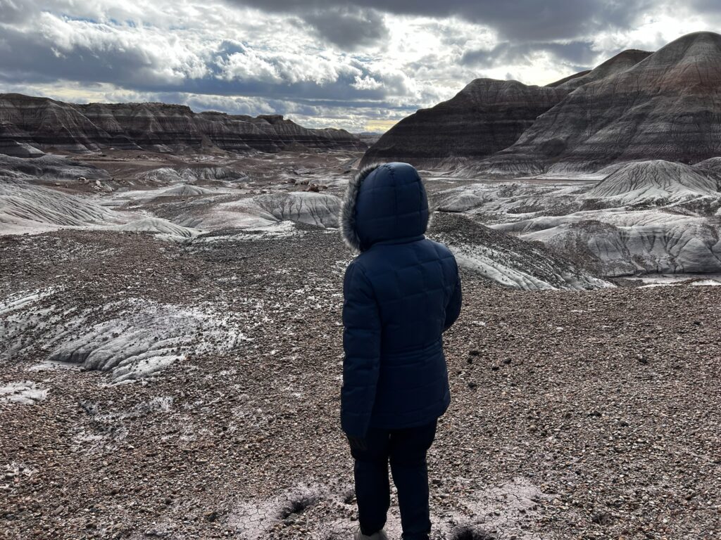 Petrified Forest