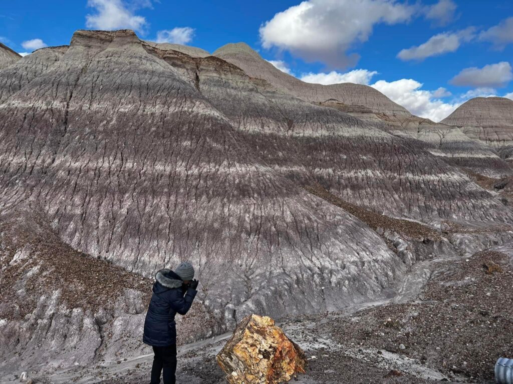 PETRIFIED FOREST