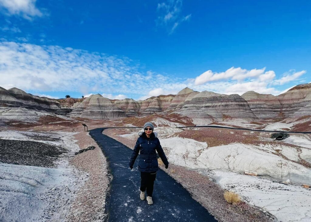 petrified forest