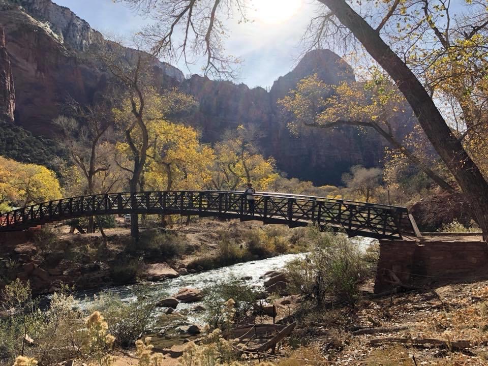 ZION-BRIDGE