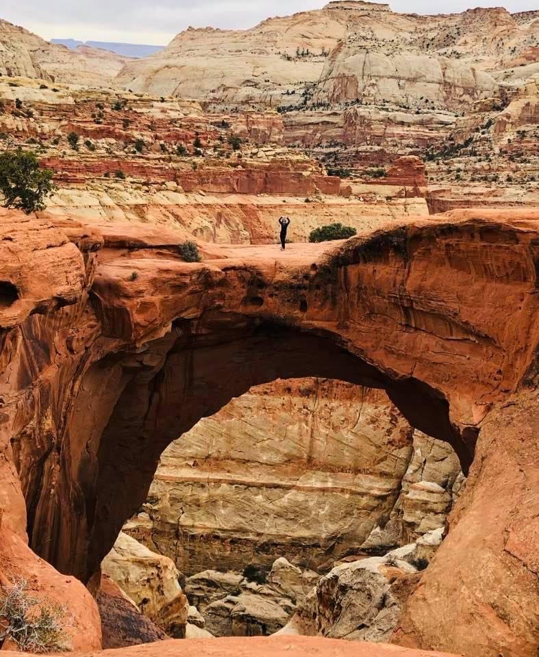 cassidy arch-capitol reef