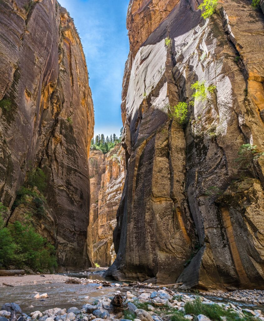 ZION-THE NARROWS