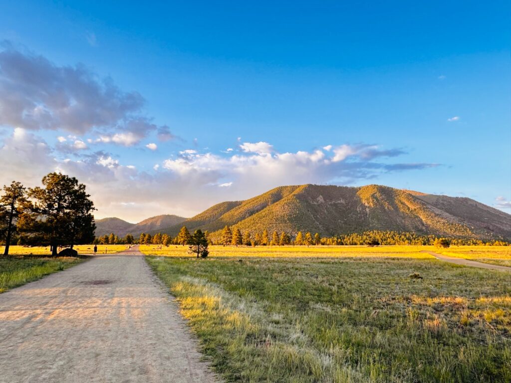 flagstaff-buffalo park